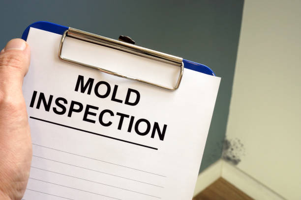 Best Air Quality Testing for Mold Spores  in Coldspring, TX